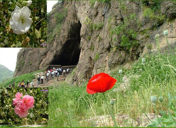 Shanidar Cave and the flowers that grow beside it today. Photo  Dlshad Marf Zamu