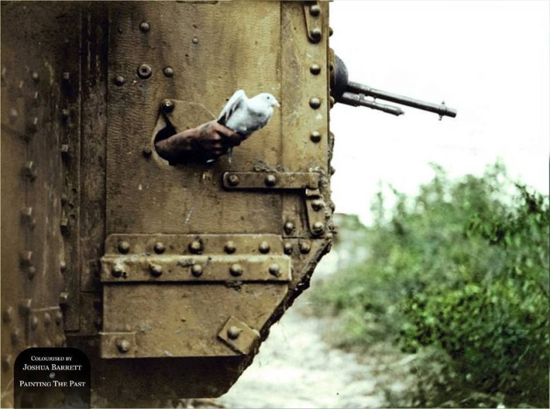 A carrier pigeon being released from a port-hole in the side of a tank near Albert, 9 August 1918. It's a Mark V tank of the 10th Battalion, Tank Corps attached to the III Corps during the Battle of Amiens. #CarrierPigeons #BirdofPeace Carrier pigeons were used extensively during the First World War to relay messages over distances at relative speed and astonishing reliability. Man-made communication devices were still largely un-reliable and crude at the time and as a result the duty of delivering news was pasted down to message runners, dogs and pigeons. Pigeons excelled were runners could not. The job of a runner during the First World War was exceptionally dangerous as it required the soldier to leave his cover and run, often completely exposed to the enemy lines, between trenches. The fatality rates of runners were extremely high and there was little guarantee of messages reaching their intended destinations or knowing if they had if they did. The small size of pigeons combined with their fast speed made them almost impossible for marksmen to shoot out of the sky, as a result birds of prey were often fielded by the enemy forces who let nature play out between the two. After the introduction of tanks in the First World War, crews were equipped with a number of carrier pigeons as a means of keeping in touch with the outside world and relaying their position to friendly forces. (Source - © IWM Q 9247) (Colourised by Joshua Barrett from the UK) https://www.facebook.com/pages/Painting-The-Past/891949734182777?fref=ts