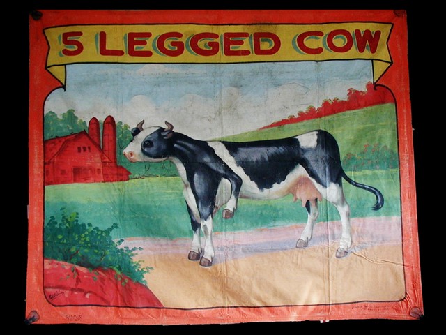 5 Legged Cow