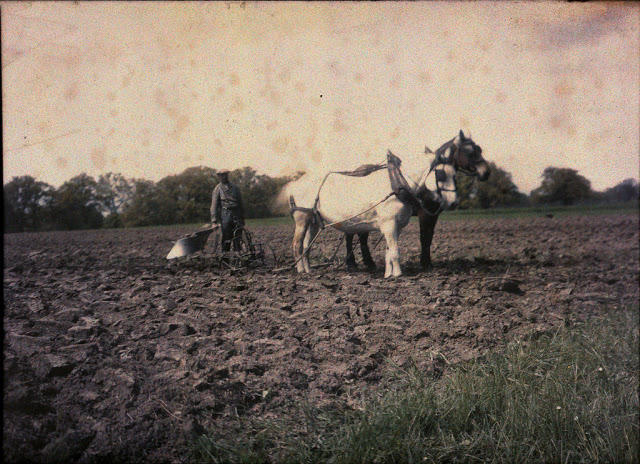 Farmer in Geneve, ca. 1920s