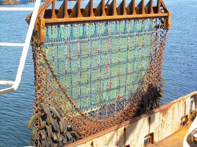 The dredge is usually constructed from a heavy steel frame in the form of a scoop. The frame is covered with chain mesh which is open on the front side, which is towed. The chain mesh functions as a net. source