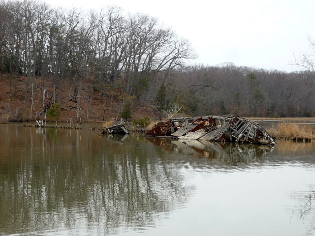 Mallows Bay. Photo by Amazur CC BY-SA 3.0