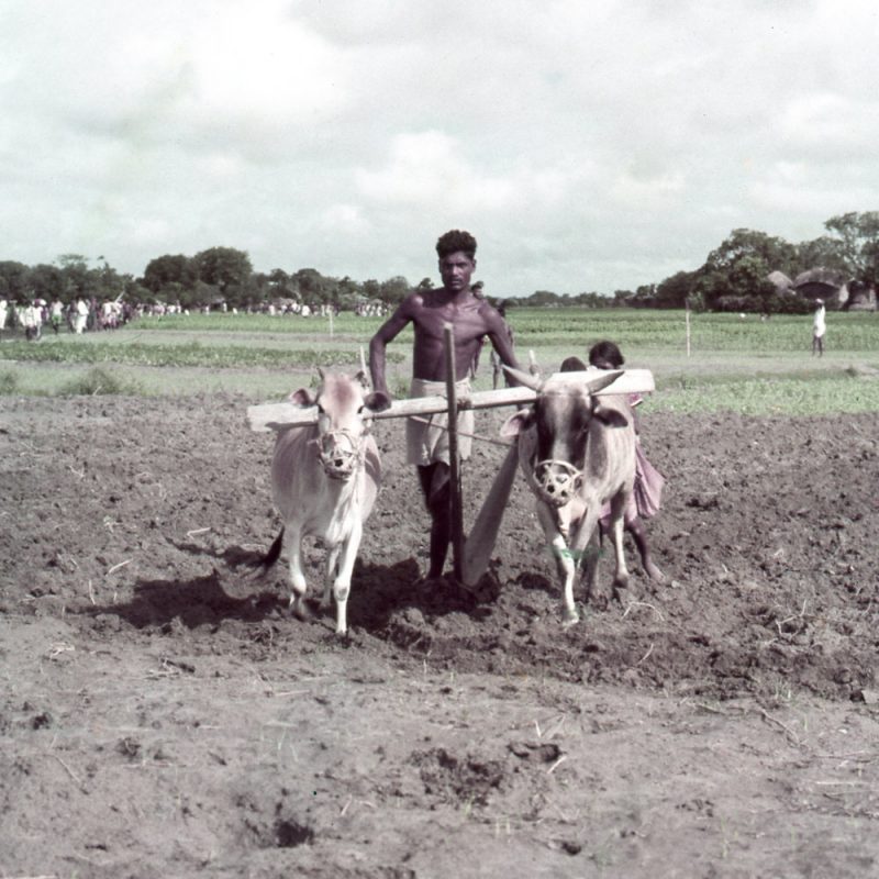 Bangladesh - 1958_14