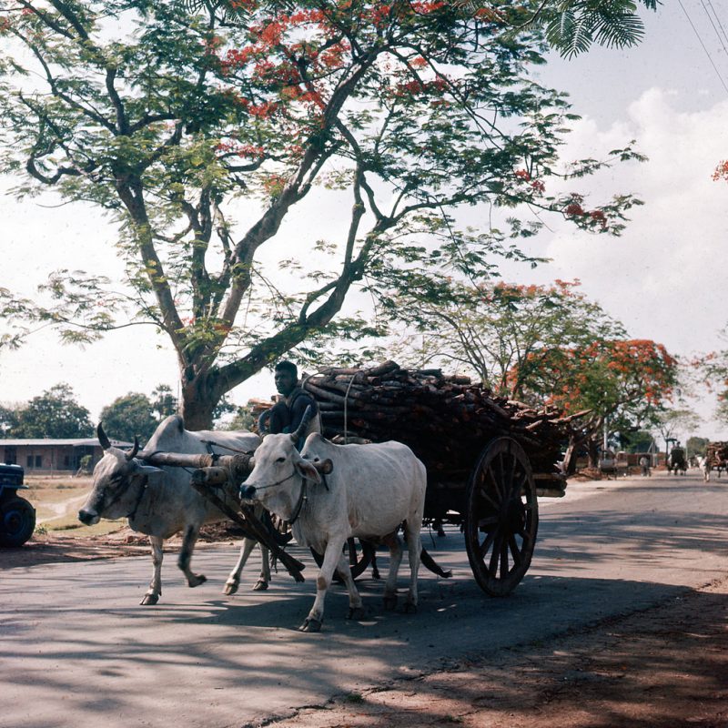 Dhaka, Bangladesh - 1958