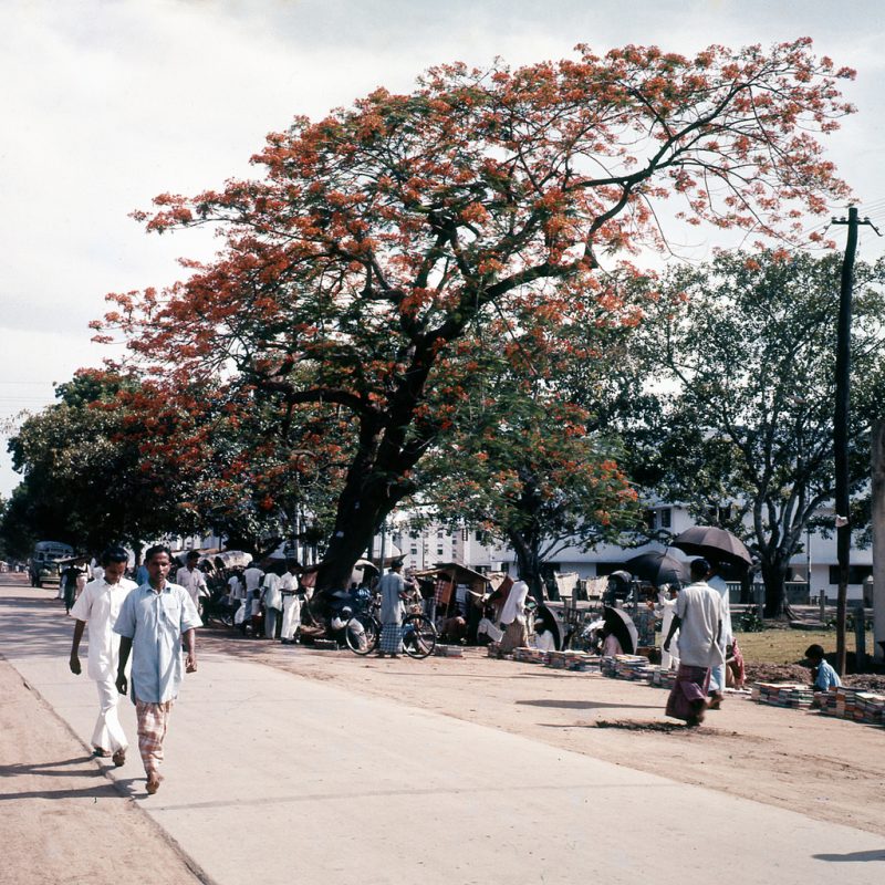 Dhaka, Bangladesh - 1958_2