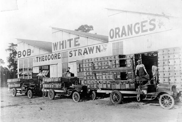 Historic black and white photo of the Strawn Packing House in DeLeon Springs, Florida. source