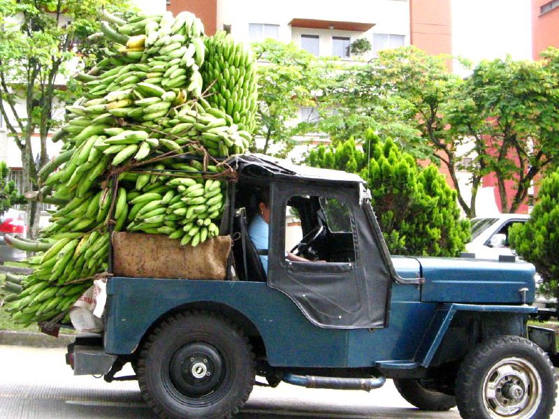 Jeep loaded with plantains.Source