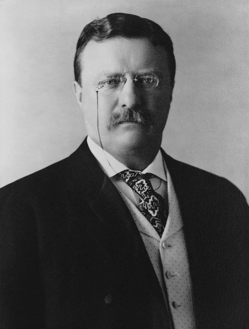 President of the United States Theodore Roosevelt, head-and-shoulders portrait, facing front.source