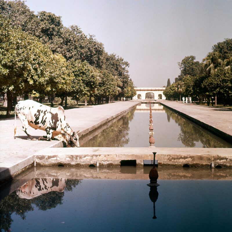 Reflecting pool in the Shalimar Gardens in Lahore