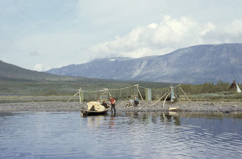 Sami camp by lake Satisjaure (Satihaure) in Lapland, with people, fishing-nets, boxes with fish in a boat, and a Sami hut (a goahti) to the right.
