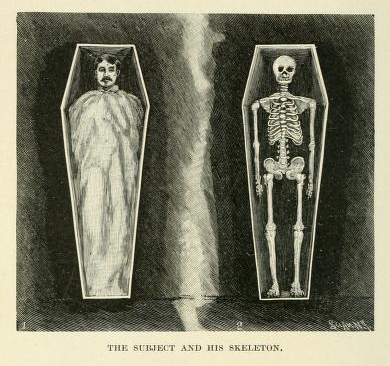 The Subject and his skeleton
