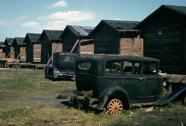 Condemned housing for migrant workers in Belle Glade, Florida. January 1941