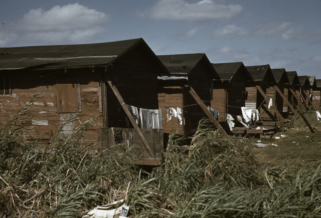 Condemned housing for migrant workers in Belle Glade, Florida..