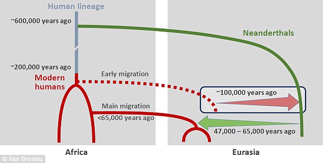 Neanderthal breeding