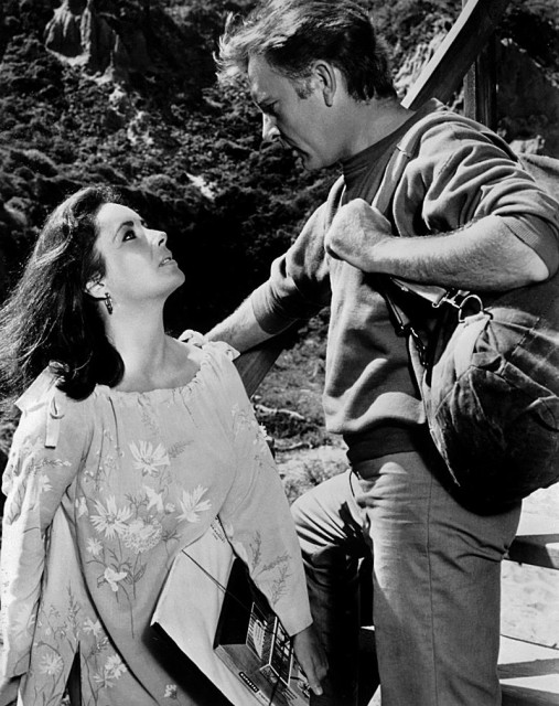 Taylor and Burton in The Sandpiper (1965), their third film together Source