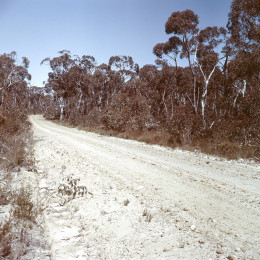 australia 1960 - grampian mountains_3
