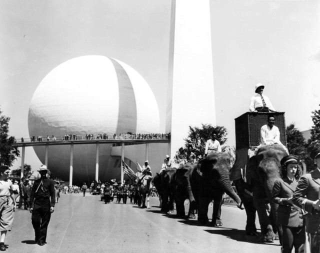 Frank Buck and his elephants