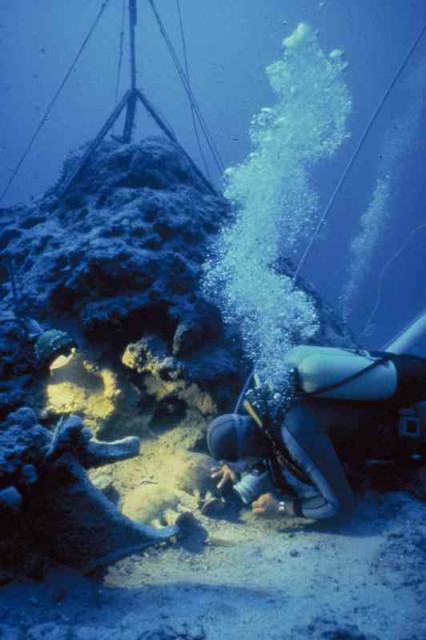 over 22,000 dives were made. soutce