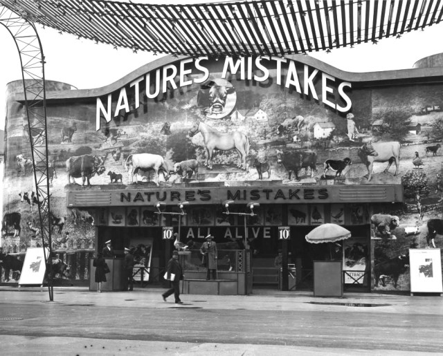 Nature's Mistakes, 1939 New York World's Fair