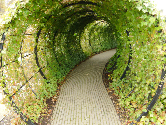 The Poison Garden is home to over 100 infamous killers