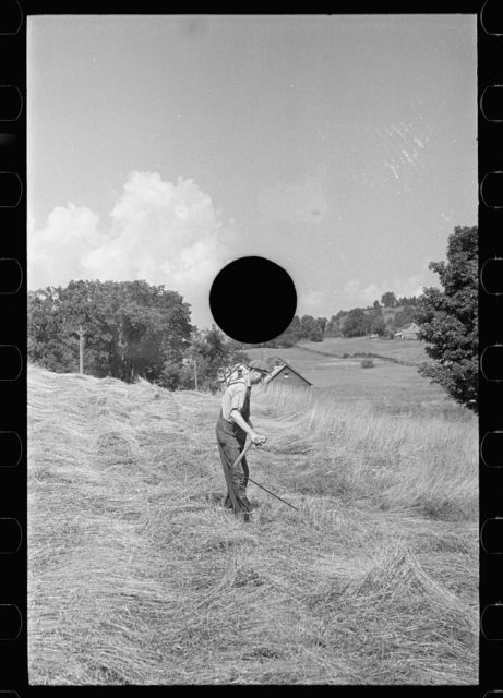 Cutting hay, Windsor County, Vermont Photo Credit