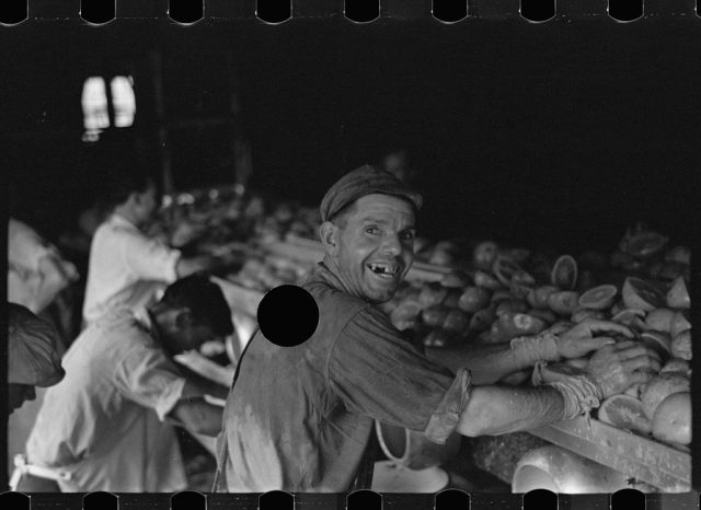 An employee of the grapefruit canning plant at Winter Haven, Florida.