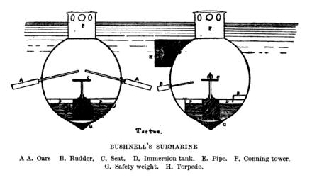A diagram showing the front and rear of Turtle Source