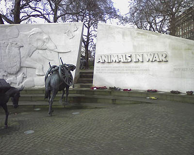 Animals in War Memorial