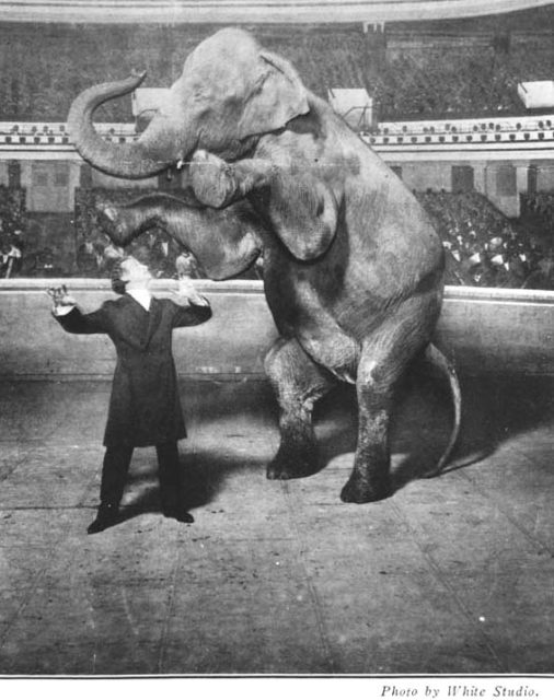Houdini and Jennie, the Vanishing Elephant, January 7, 1918 Source