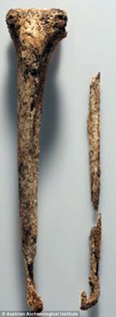 The bones of both legs differed in density Source:Austiran Archaeological Insititue 