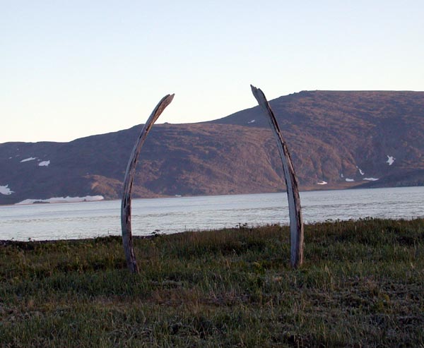 Ceremonial whale ribs, Whale Bone Alley.Source