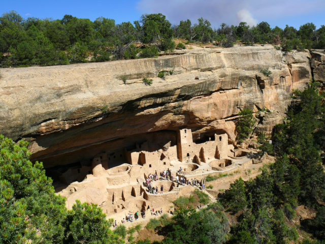 Cliff Palace was built inside an alcove in the cliff. Source