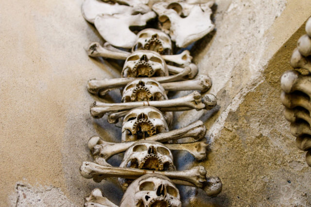  Skeletons and bones Source: Dileep Kaluaratchie/Flickr