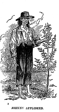 trees planted by johnny appleseed.Source