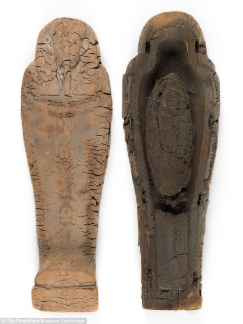 The landmark discovery was made by experts at the Fitzwilliam Museum in Cambridge who examined a wooden coffin donated to it by archaeologists in 1907 Source: the Fitzwilliam Museum in Cambridge 