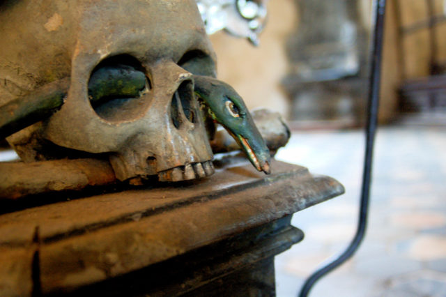  Human Skeleton with a snake Source Todd Huffman/Flickr