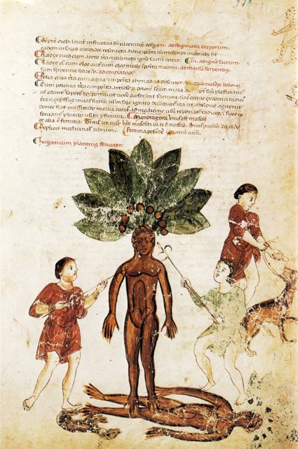 Ancient medical books Source:Wikipedia/publicdomain