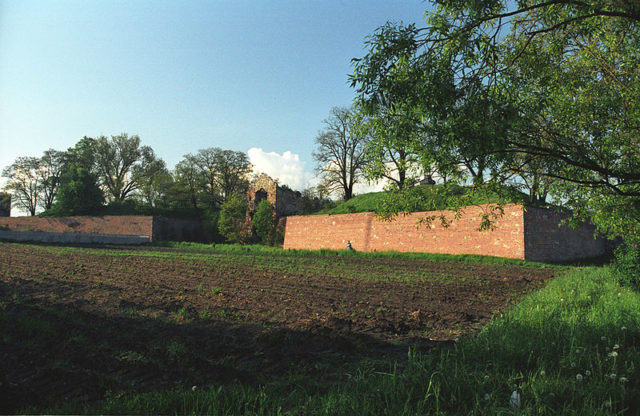 Danków Castle