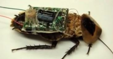 Nuclear-Powered Insect Drones Source:Pasttimers/youtube
