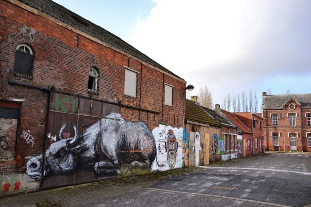 A graffiti of a Bull on one of the abandoned houses in Doel. Source