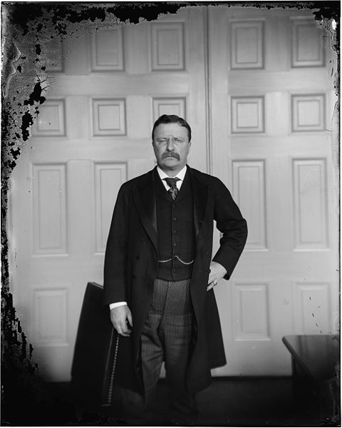 An old deteriorated dry plate featuring Theodore Roosevelt is similar to a wet plate image but has substantial differences.