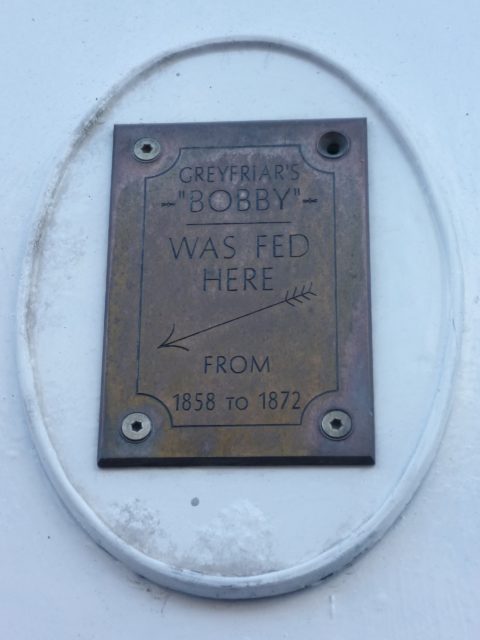 Greyfriars_Bobby_plaque,_Forest_Road_Edinburgh