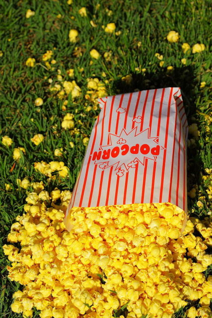 Popcorn.Source
