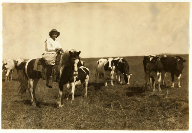 A 12-year-old girl named Sarah Crutcher, shown here, is herding cattle.