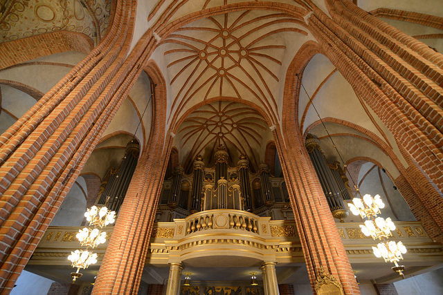 The organ. Source