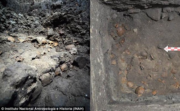 The 'skull circle' forms part of the main trophy rack of sacrificed human skulls at Mexico City's Templo Mayor Aztec ruin site.  Source Mexico's National Institute of Anthropology and History (INAH)