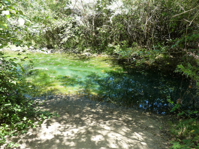 The spot where Marshall first discovered the gold that started the California Gold Rush. Photo by Bobak Ha’Eri CC BY 3.0