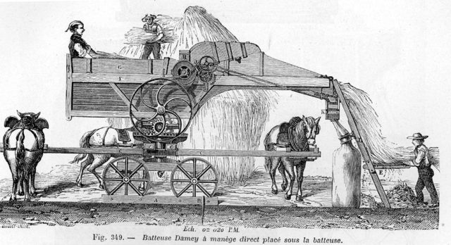 An animal-powered thresher