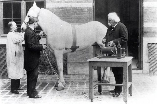 Auguste Chauveau assisting Frossmann during a cardiac catheterization of a horse. Von Anonym - http://physiologie.envt.fr/spip/IMG/jpg/chauveau_et_ses_sondes.jpg, Gemeinfrei, https://commons.wikimedia.org/w/index.php?curid=24372704