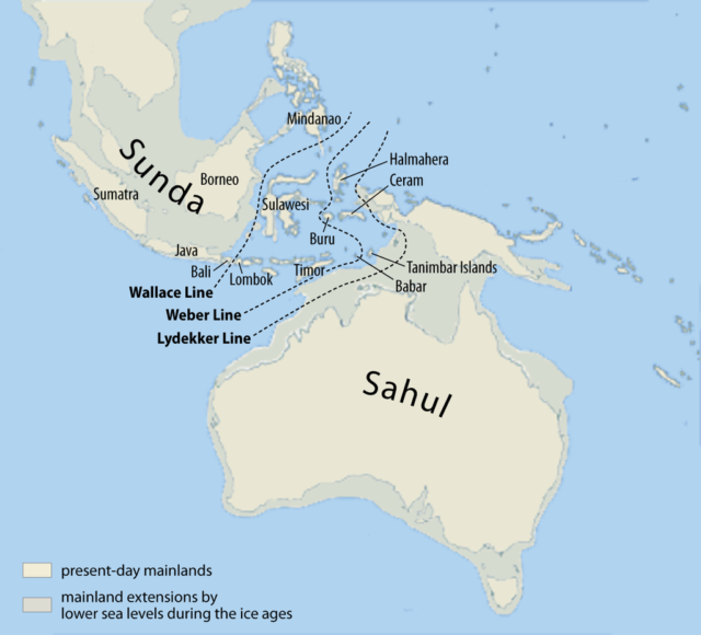 1024px-map_of_sunda_and_sahul